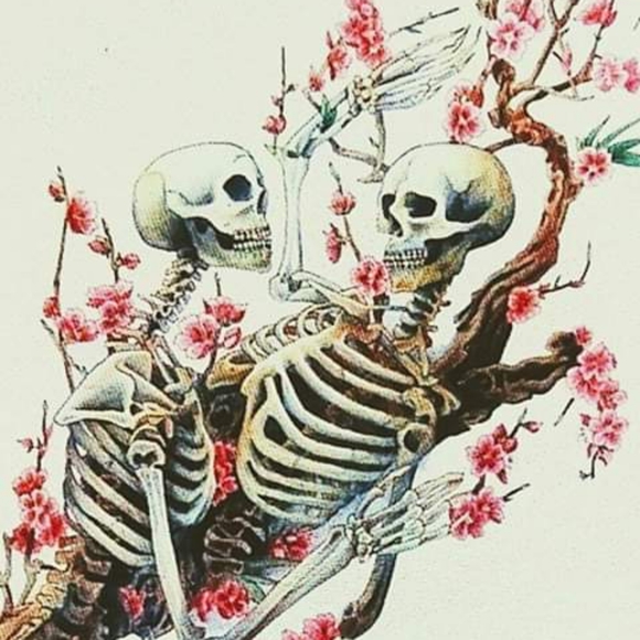 Meet your Posher, Harley - Picture 7 of 12